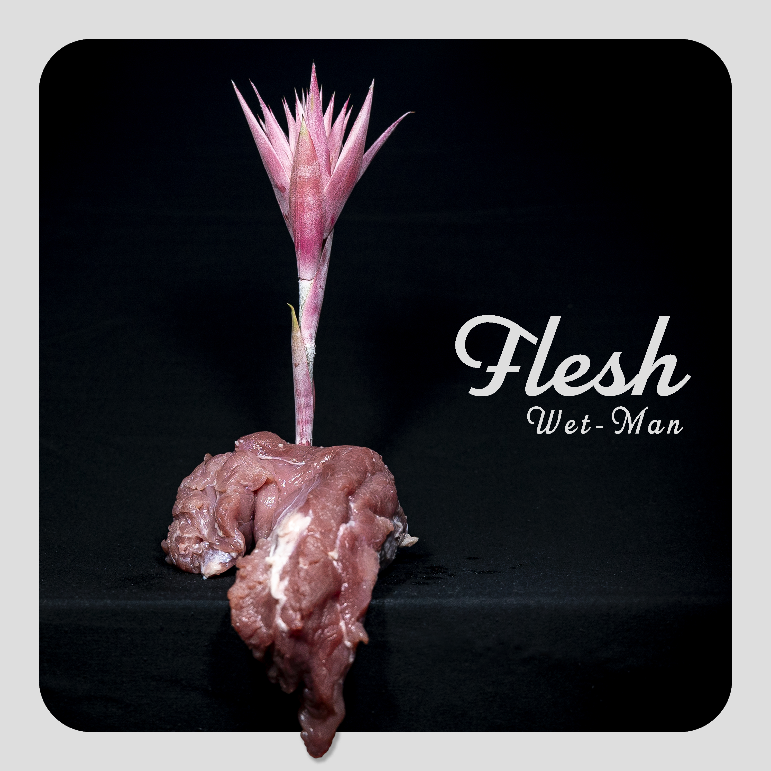 FLESH album cover